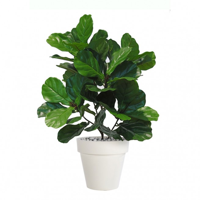 Planta semi-artificiala Ila, Ficus Lyrata Plant Green - 85 cm